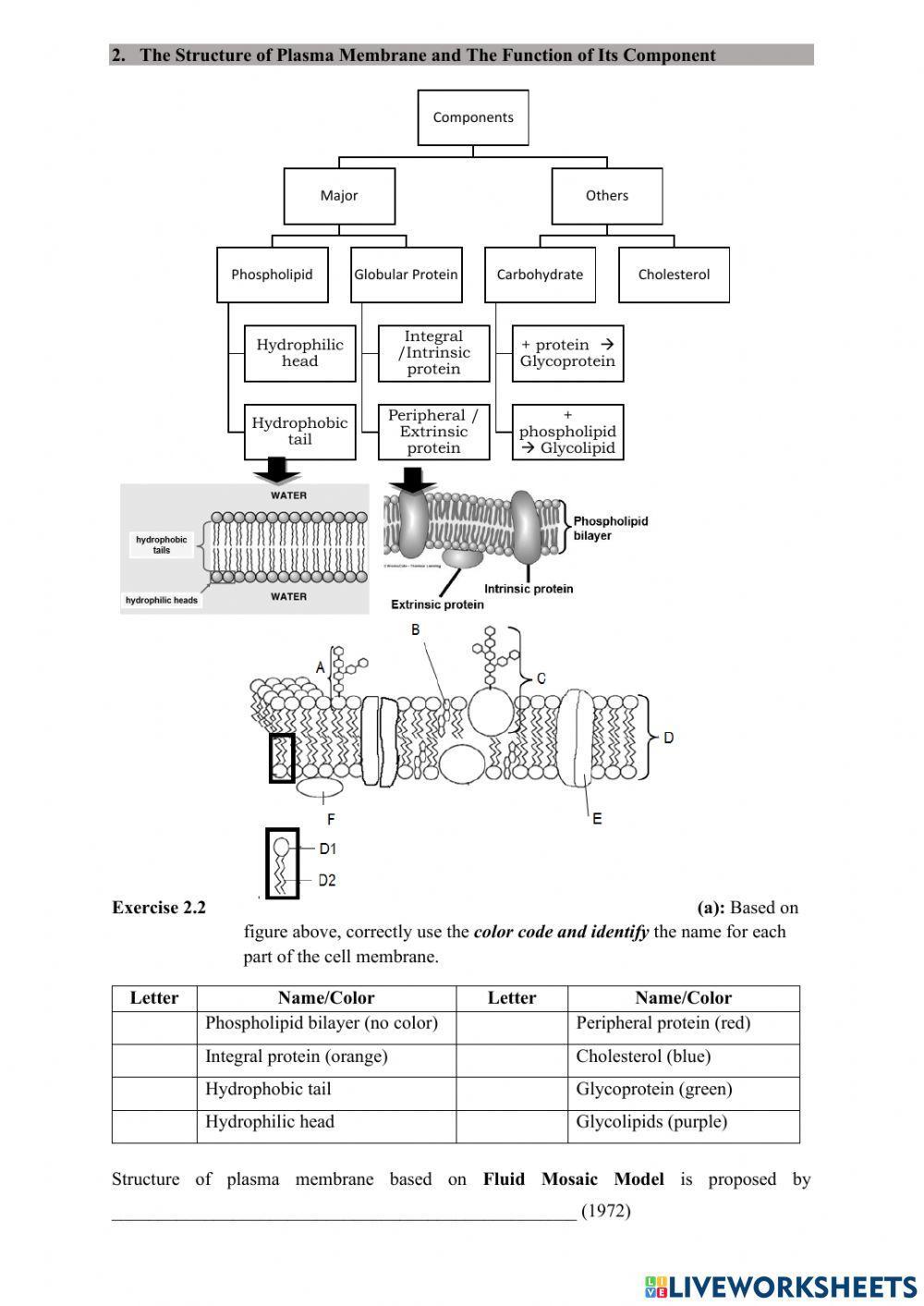 2.2 plasma worksheet Live Worksheets