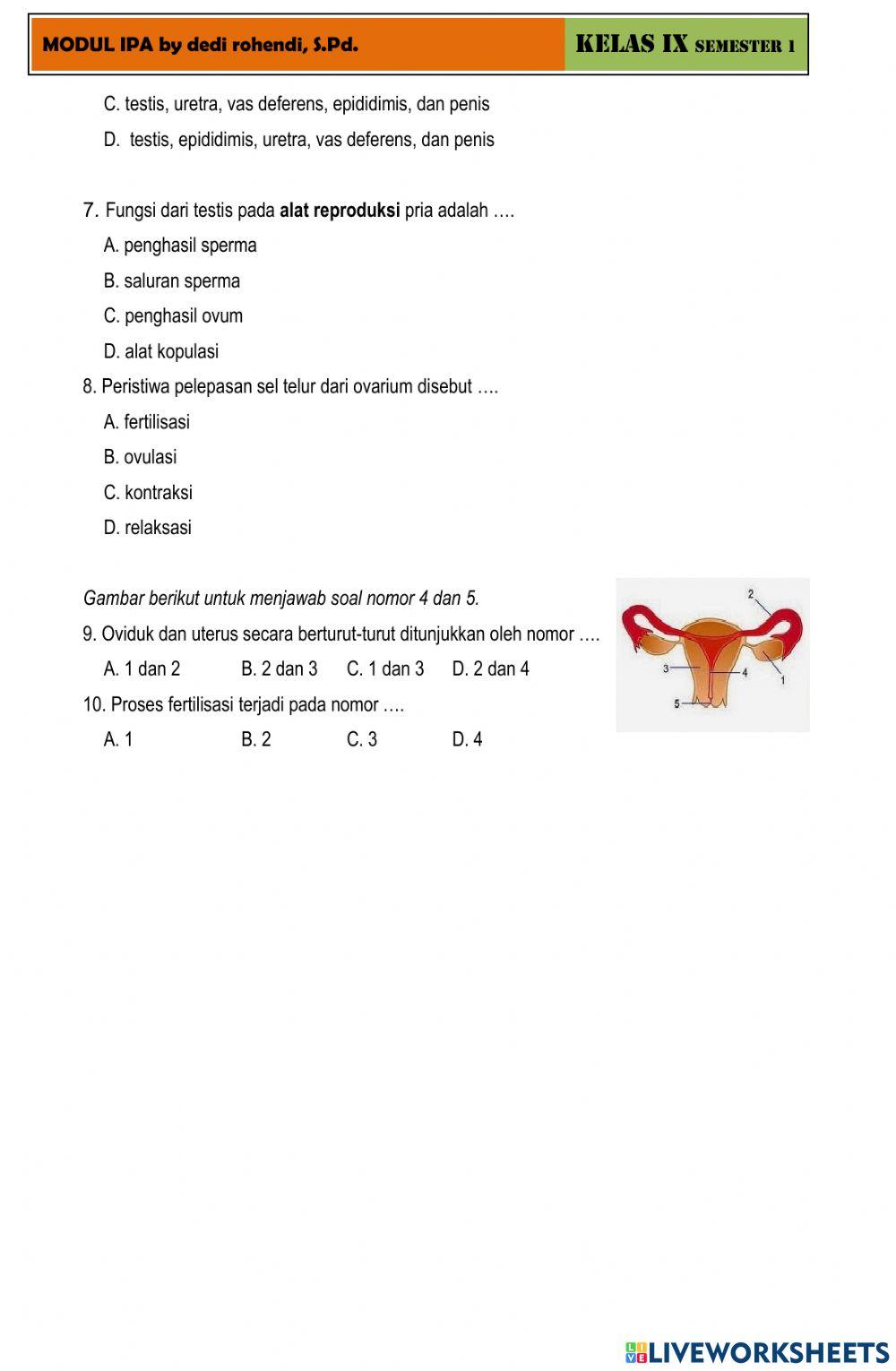 Modul Alat Reproduksi Manusia