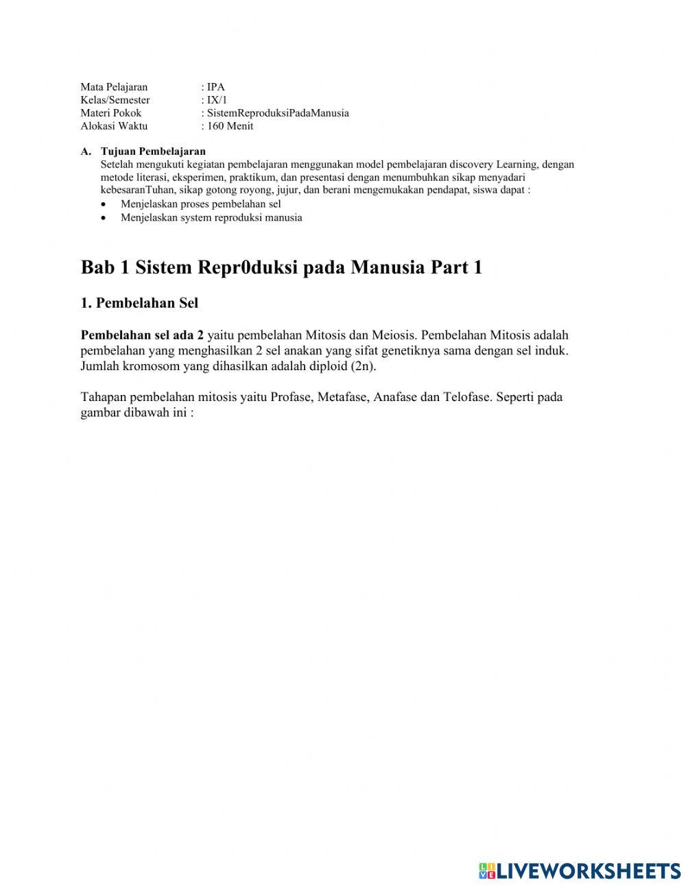 Sistem Reproduksi Pada manusia