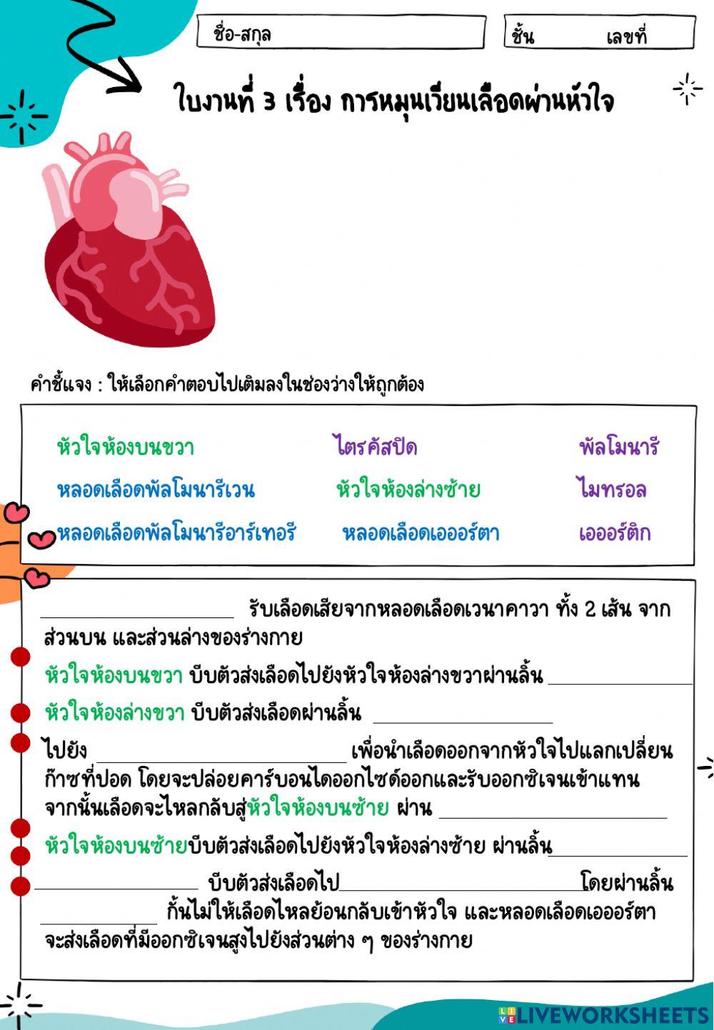 ใบงาน ที่ 3 การหมุนเวียนเลือดผ่านหัวใจ