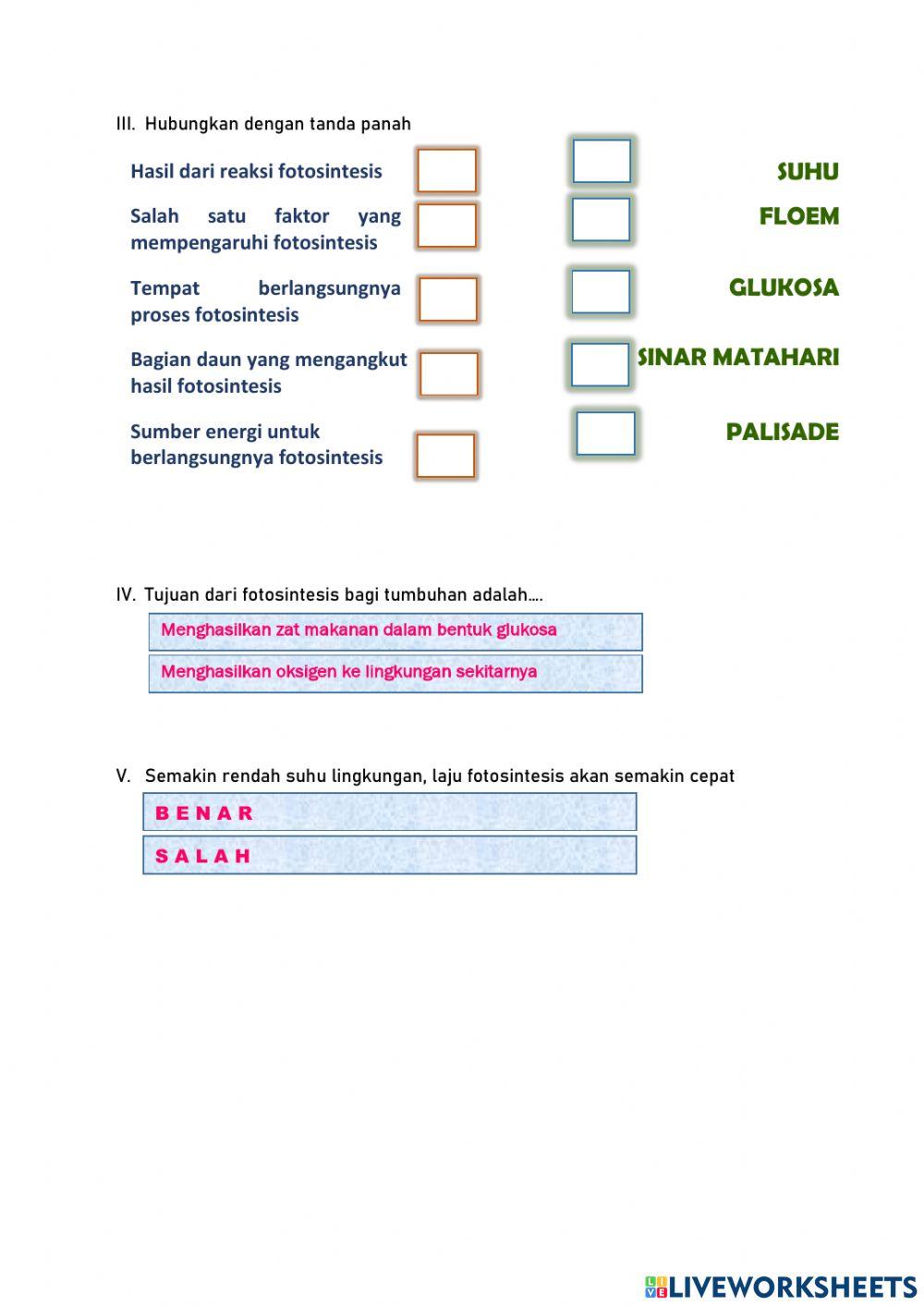 LKPD Proses Fotosintesis