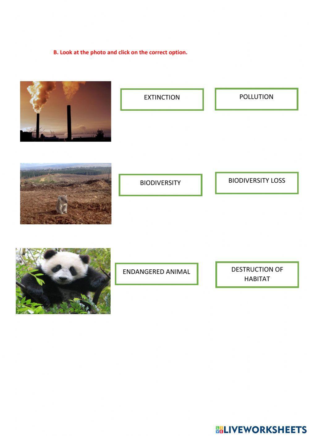 Biodiversity Printable Worksheets