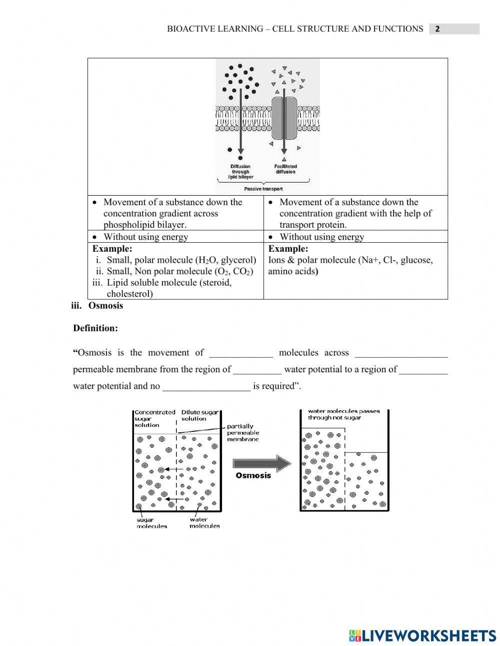 2.4 cell transport