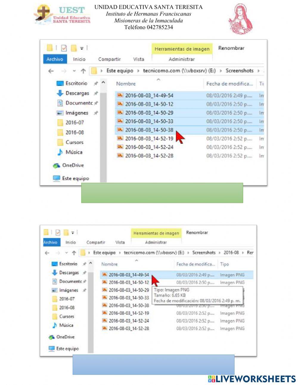 Seleccionar archivos