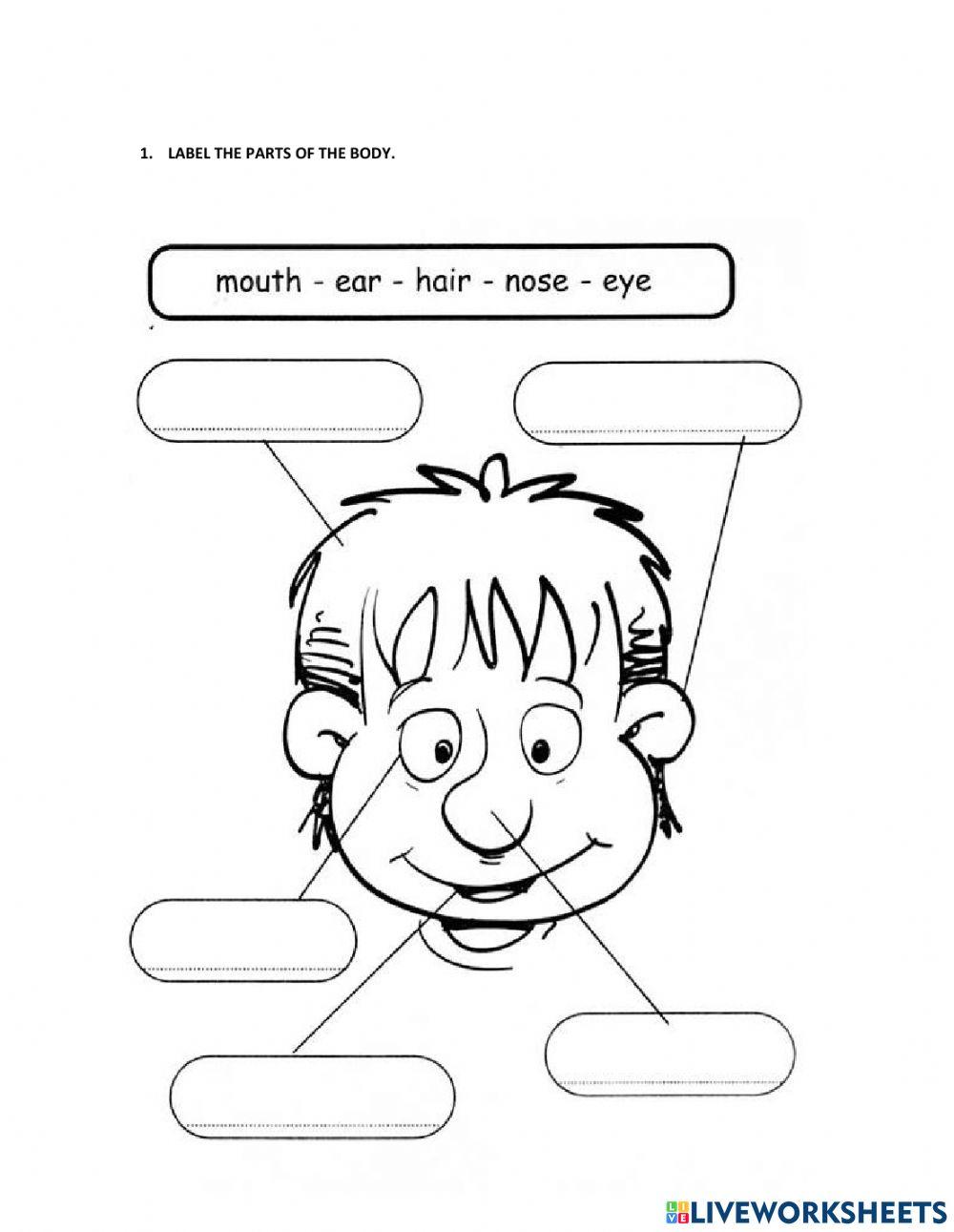 Abracadabra 5 Unit 6