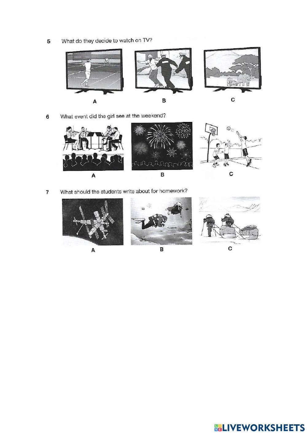 Pet listening mid year test