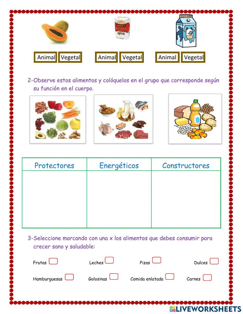 Funciones y origen de los alimentos