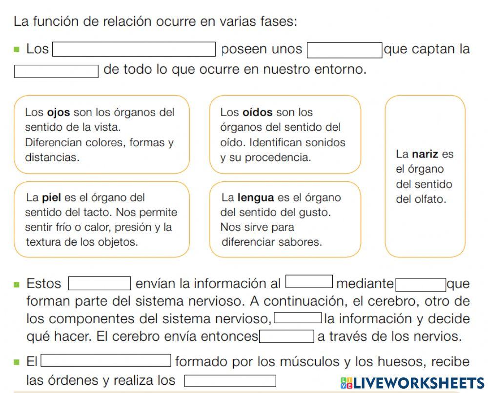 Cómo ocurre la función de relación
