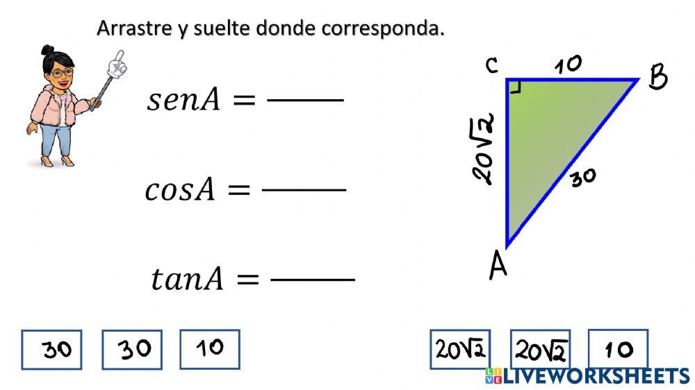 Práctica Razones trigonométricas principales