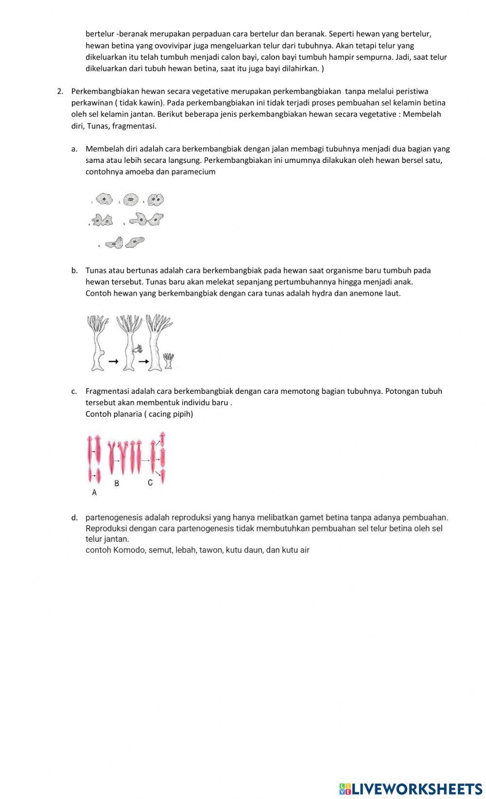 Perkembangbiakan Hewan