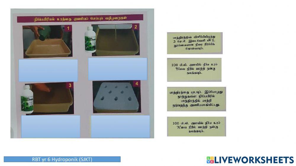 Hidroponic RBT yr 6 (Tamil)