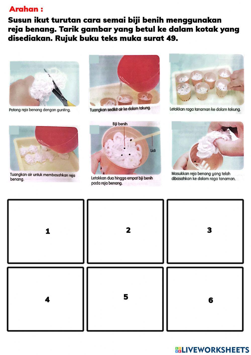 Semai Biji Guna Reja Benang