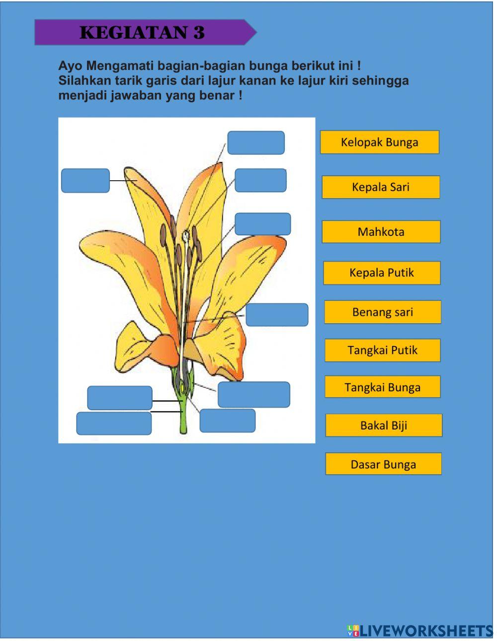 LKPD 6CTema 1 Sub Tema 1