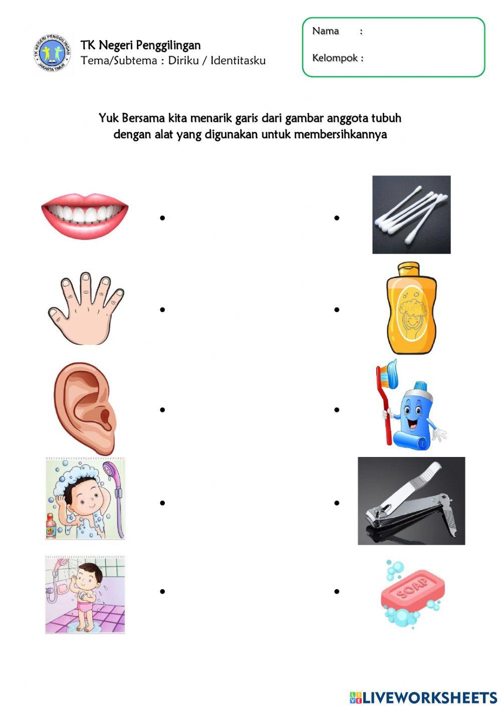 Mencocokkan gambar anggota tubuh dengan alat yang digunakan untuk menjaga kebersihannya