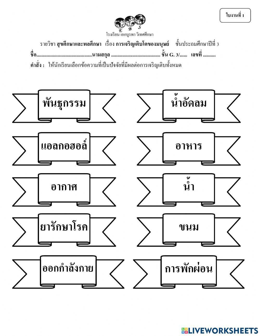 ใบงานที่1 การเจริญเติบโตของมนุษย์