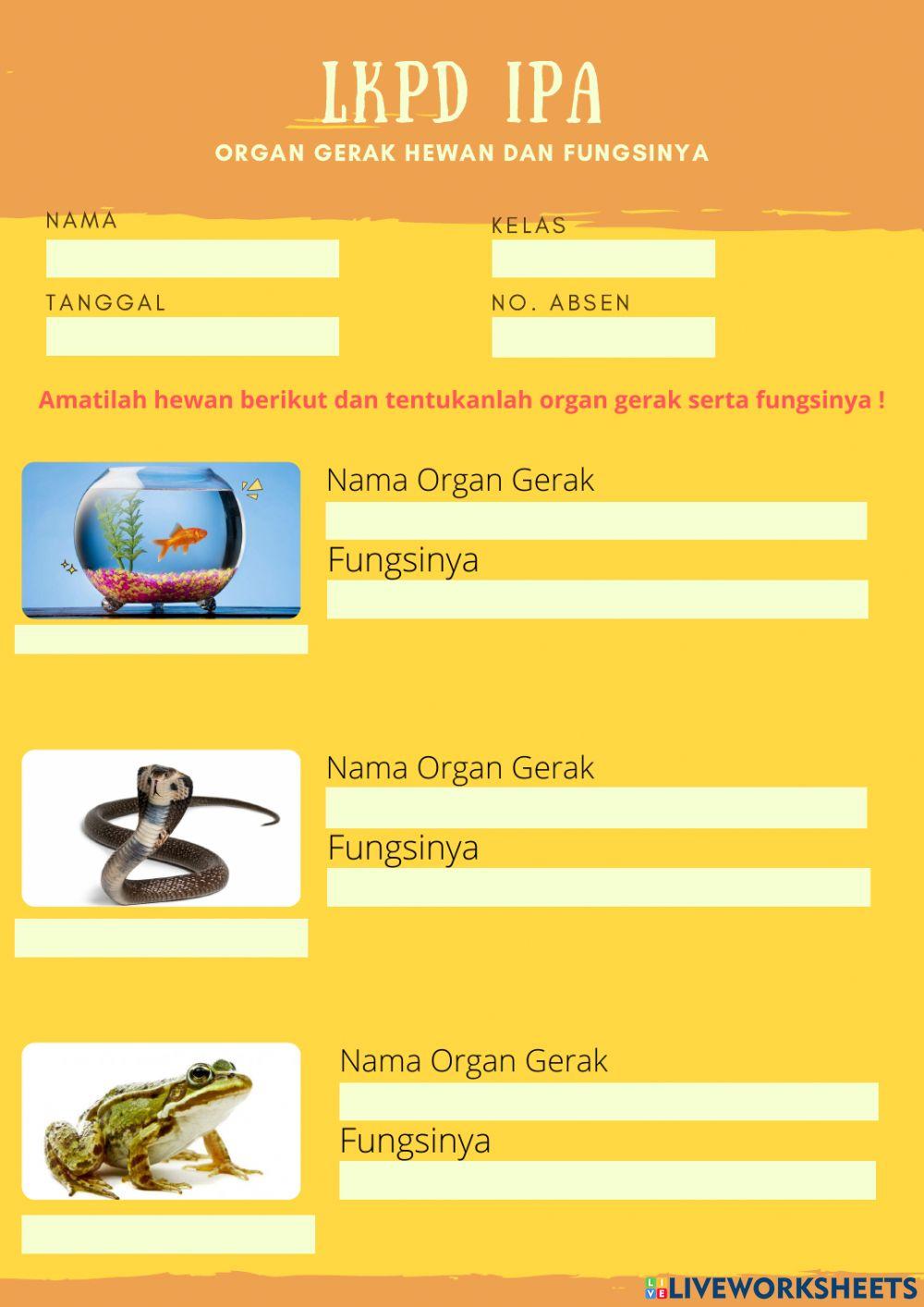 Organ Gerak Hewan dan Fungsinya