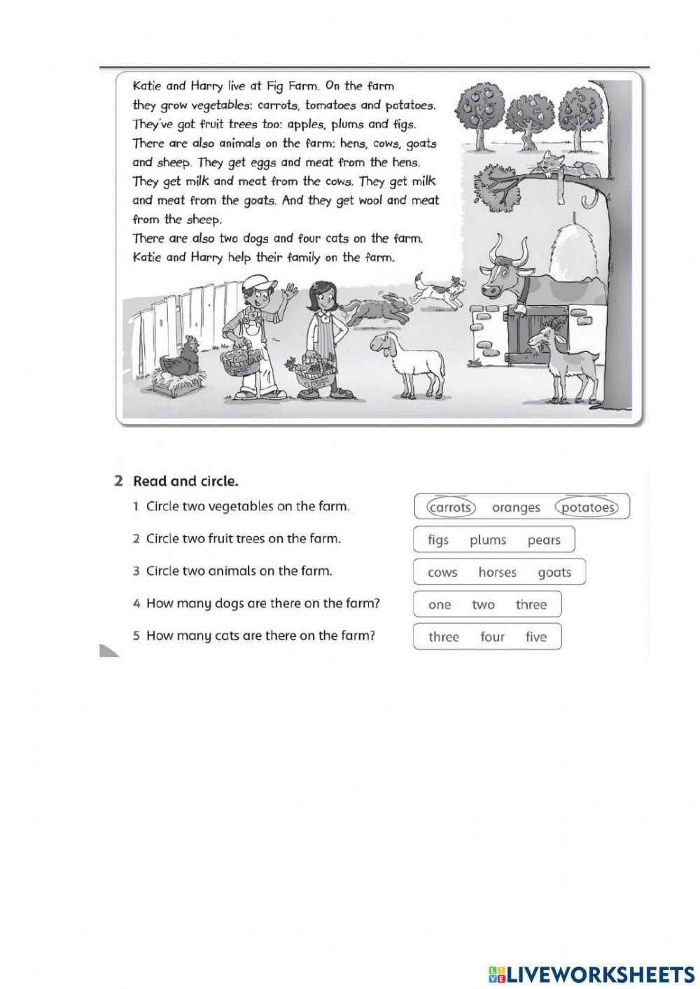 Loud - quiet - fast - slow