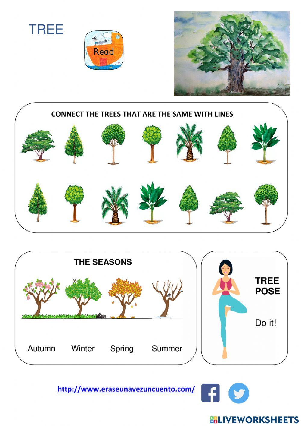 TREE TREE
