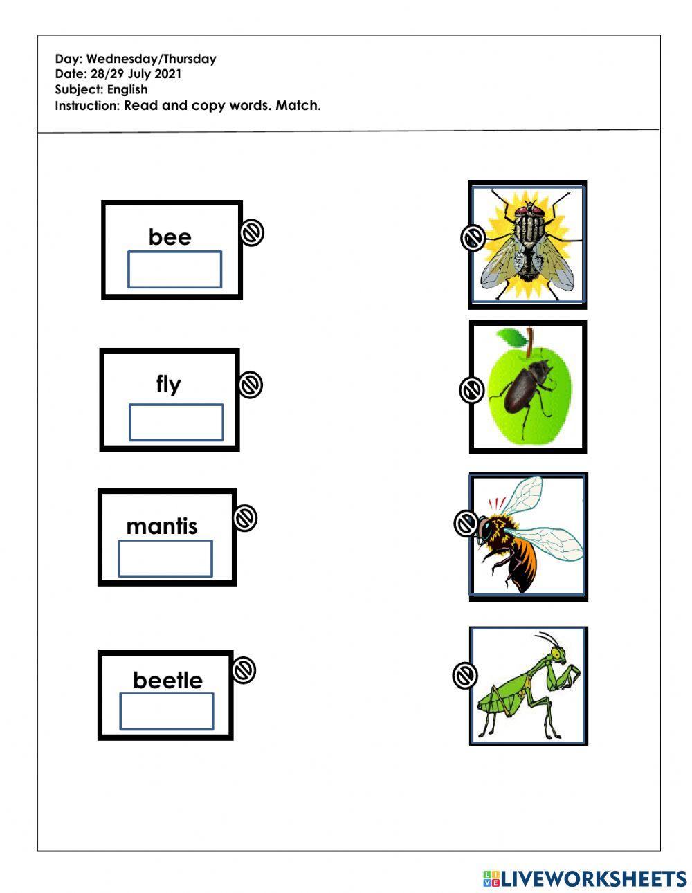 Tugasan PKP BI (6tahun) BI