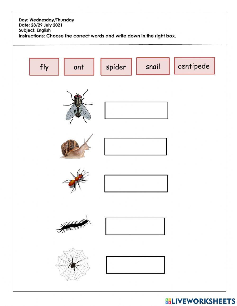 Tugasan PKP BI (6tahun) BI