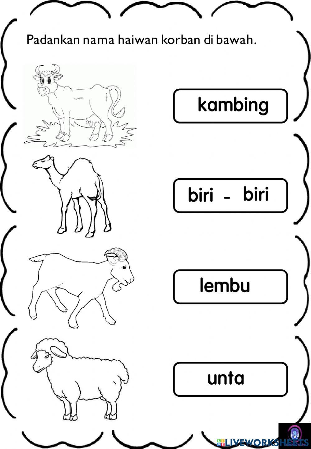 Haiwan korban worksheet | Live Worksheets