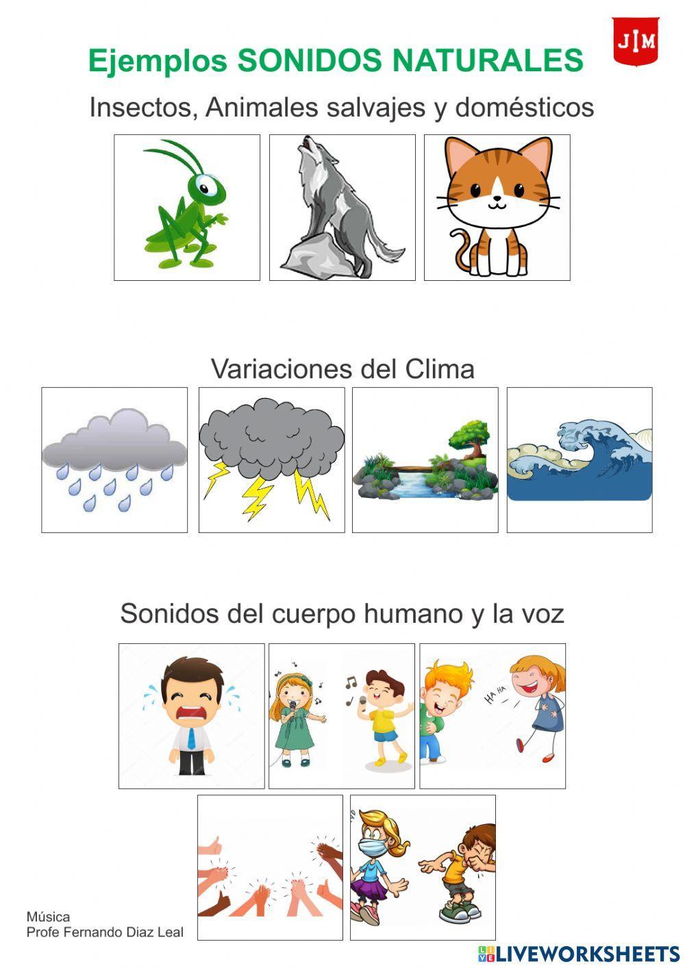 Los sonidos del entorno - Clase