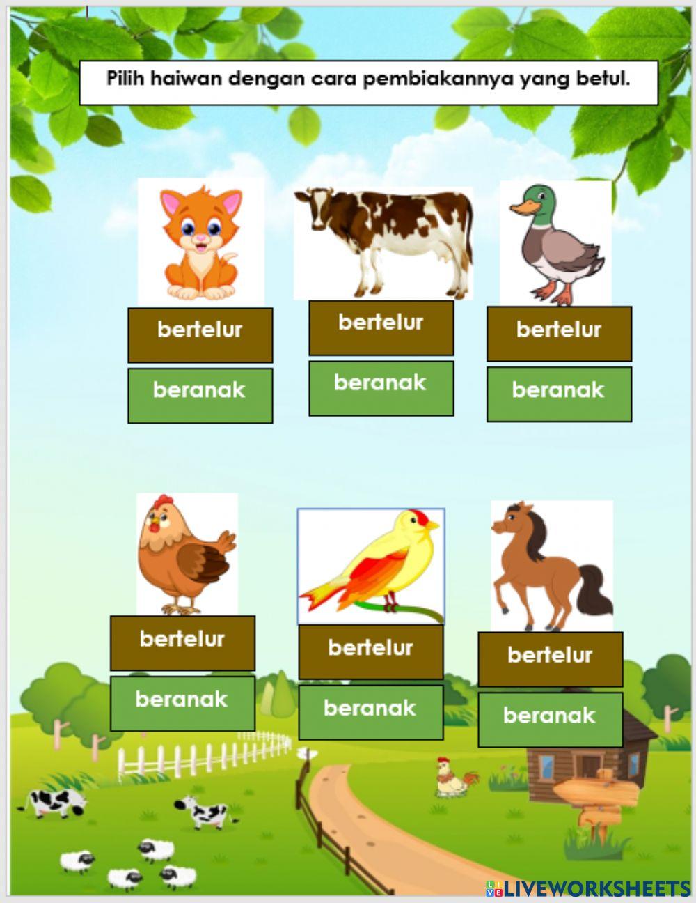 Pembiakan haiwan jinak