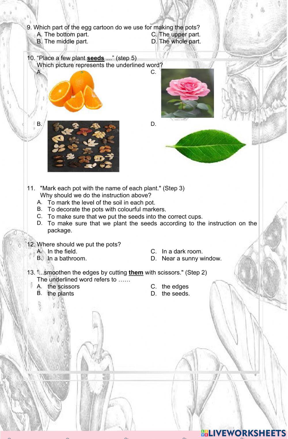 Meeting 2 (procedure text) - reading test
