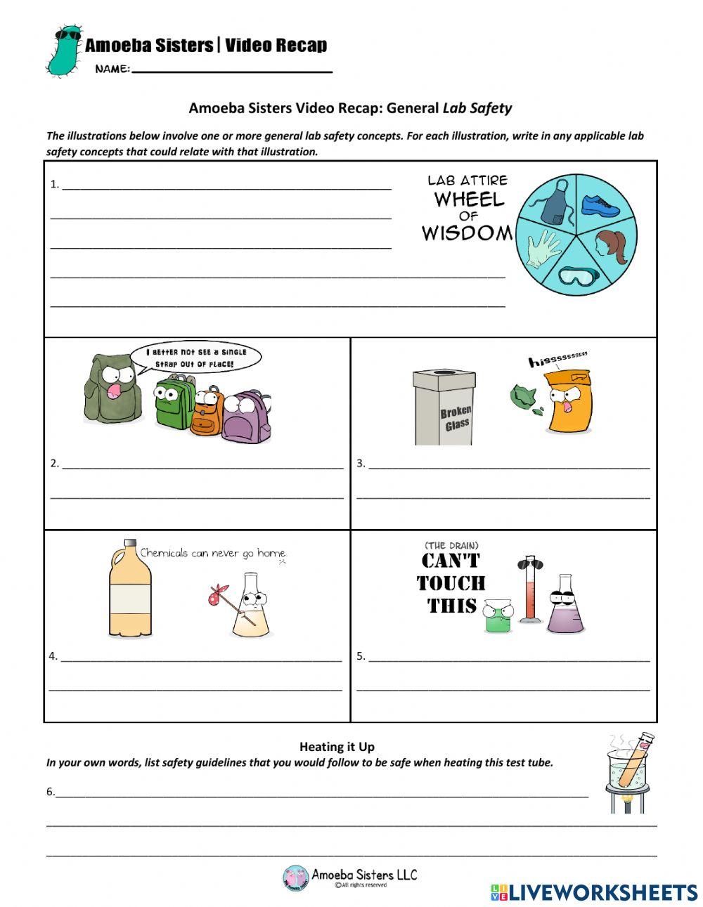 Amoeba Sisters Lab Safety Notes online exercise for Live Worksheets