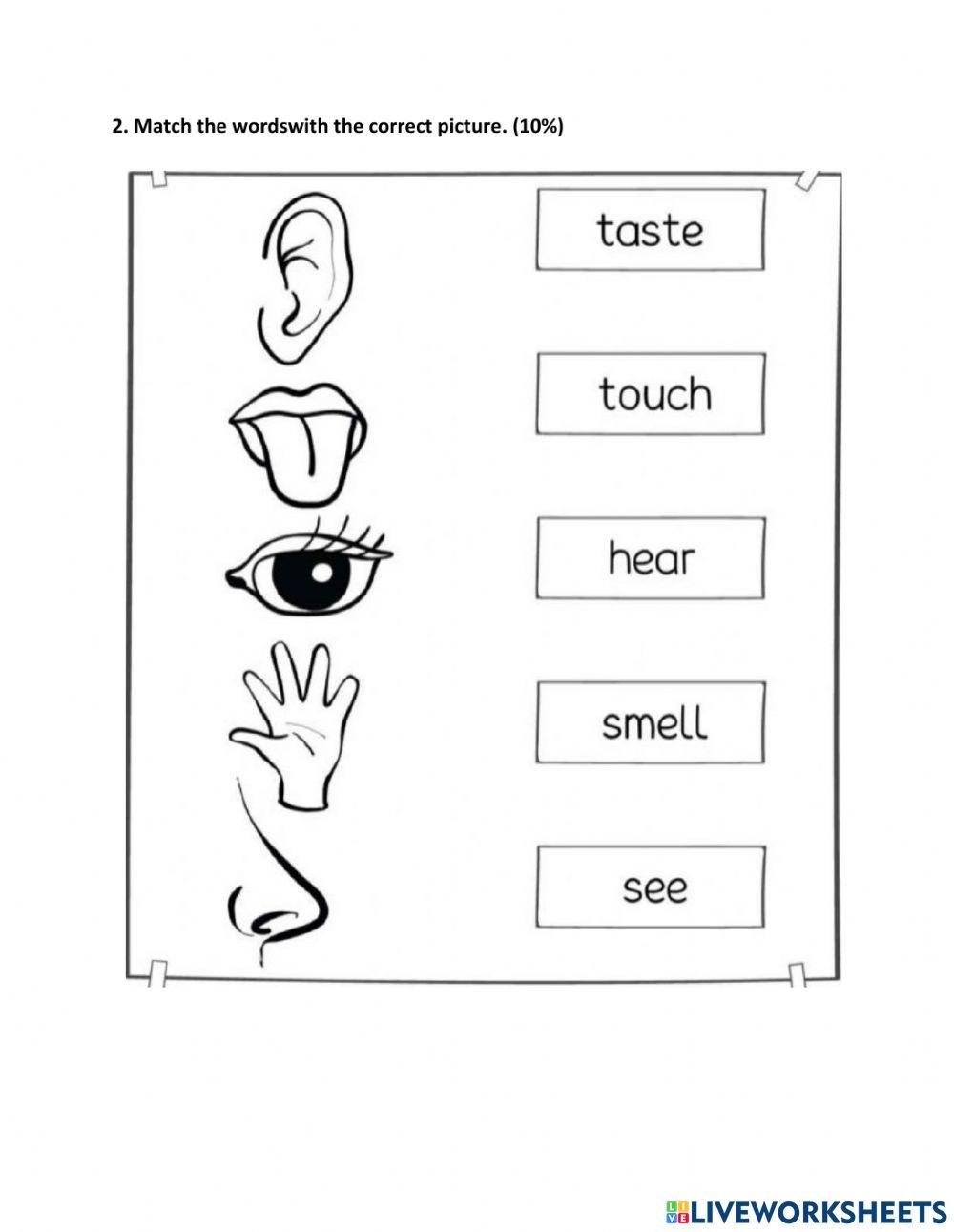 Science Mitderm III BIM