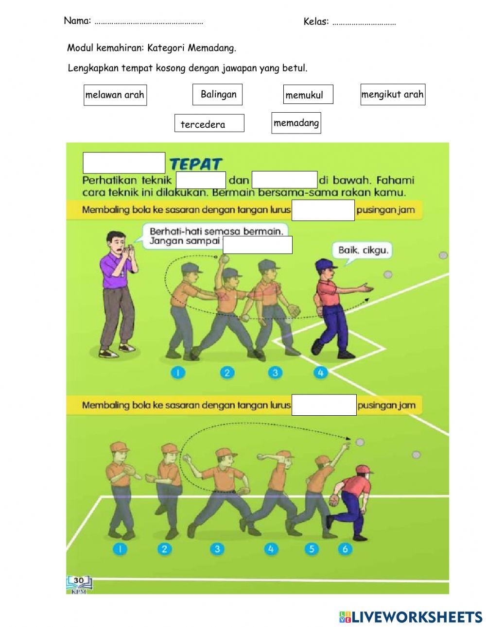 Modul kemahiran: kategori memadang