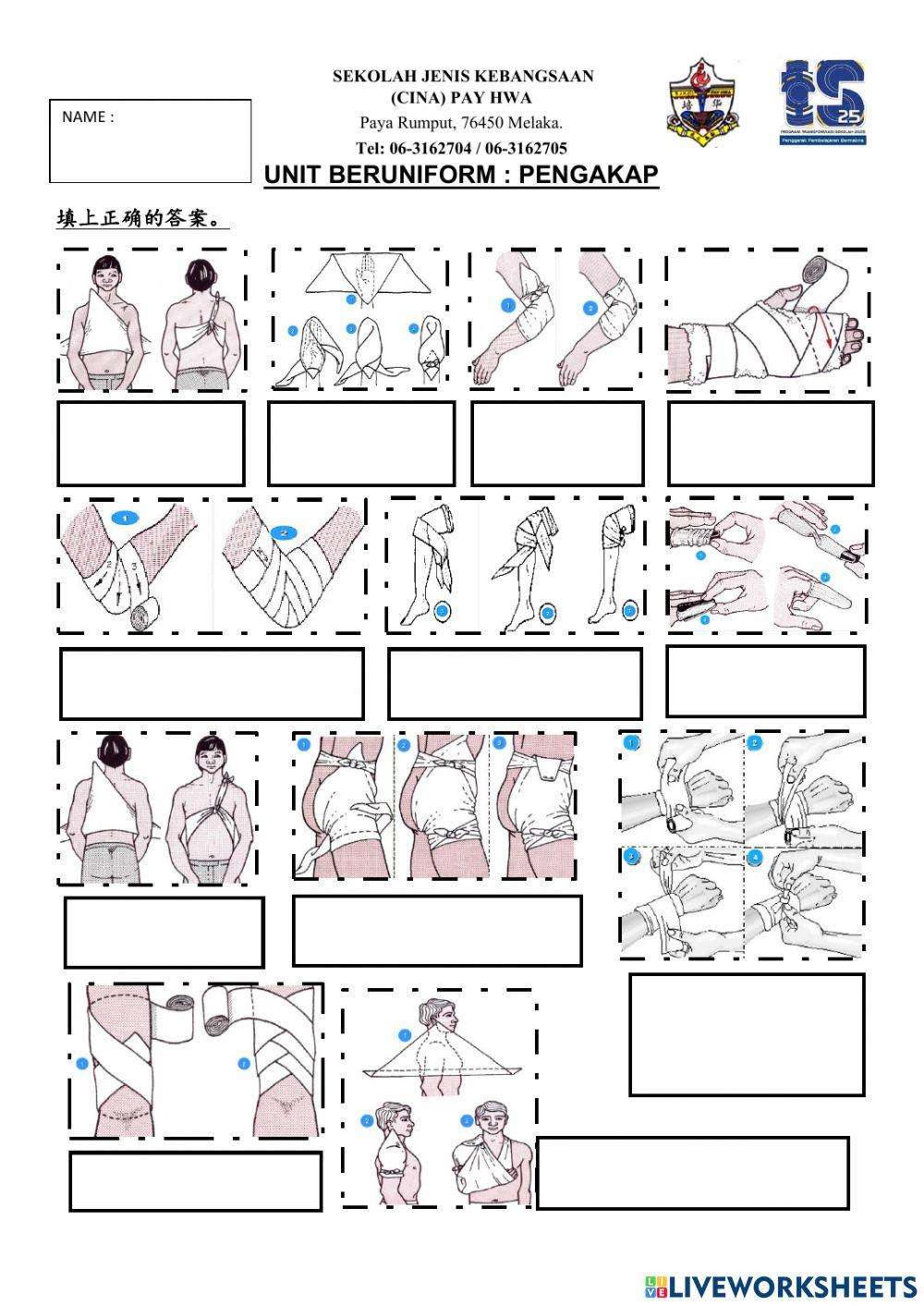 练习单4 jenis-jenis balutan