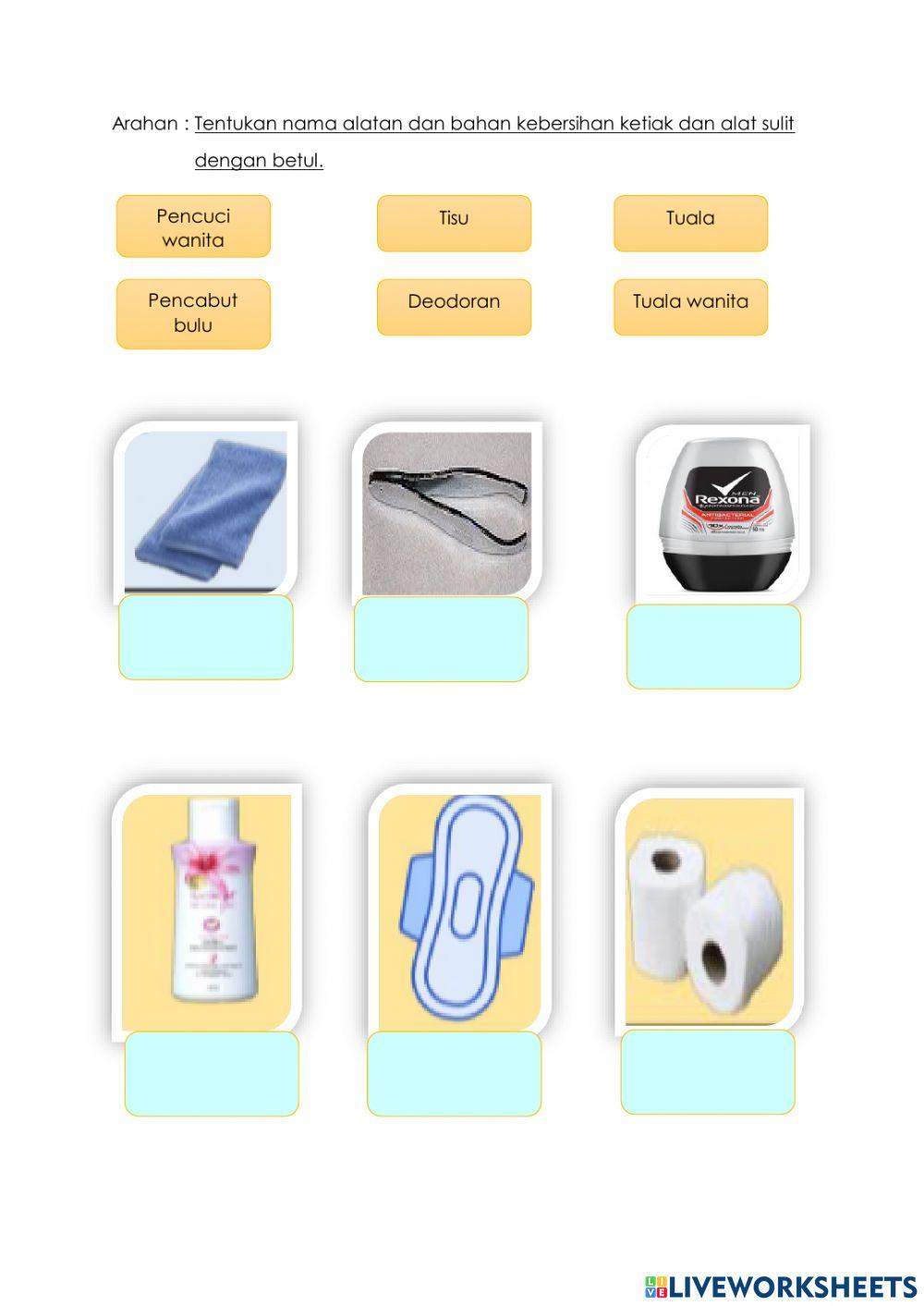 Pengurusan kehidupan