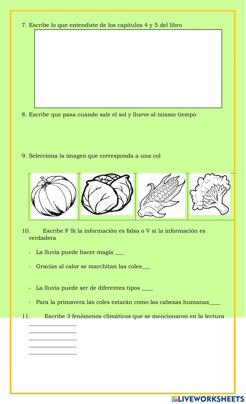 Tomas espantapájaros taller tres