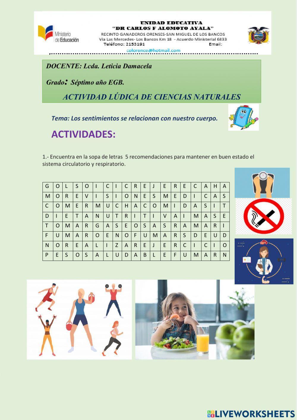 Cuidado del sistema respiratorio y circulatorio