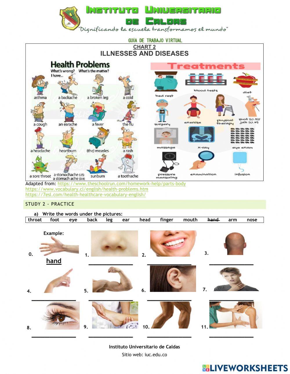 Human Body - Illnesses and Diseases