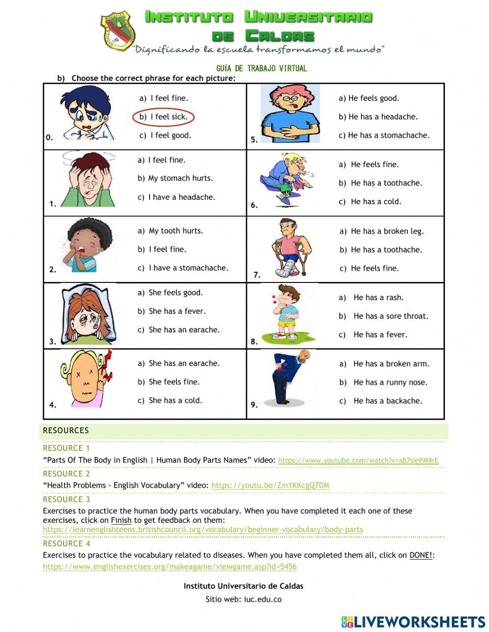 Human Body - Illnesses and Diseases