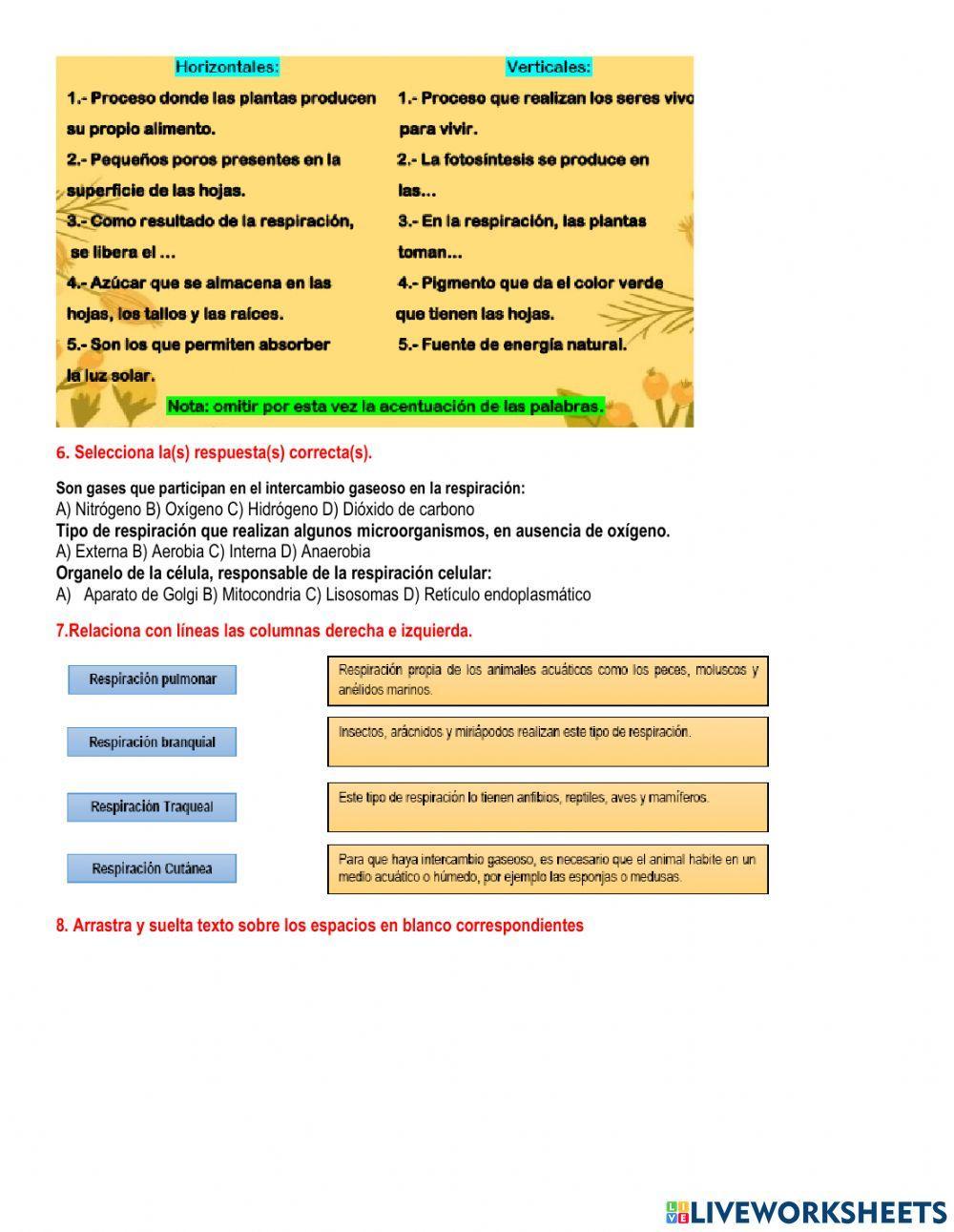 Taller de Respiración