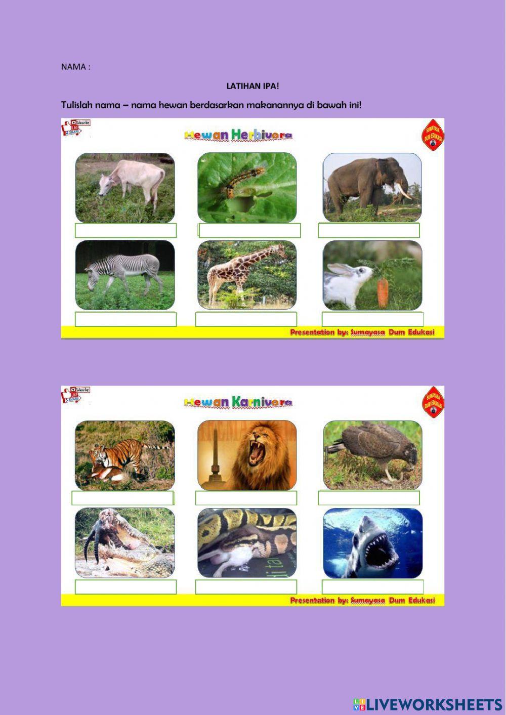 Hewan berdasarkan makanannya