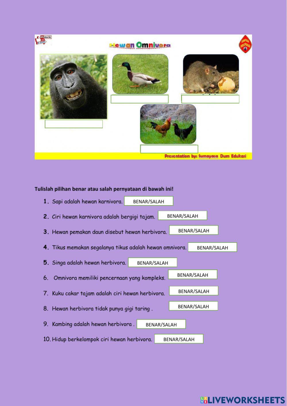 Hewan berdasarkan makanannya