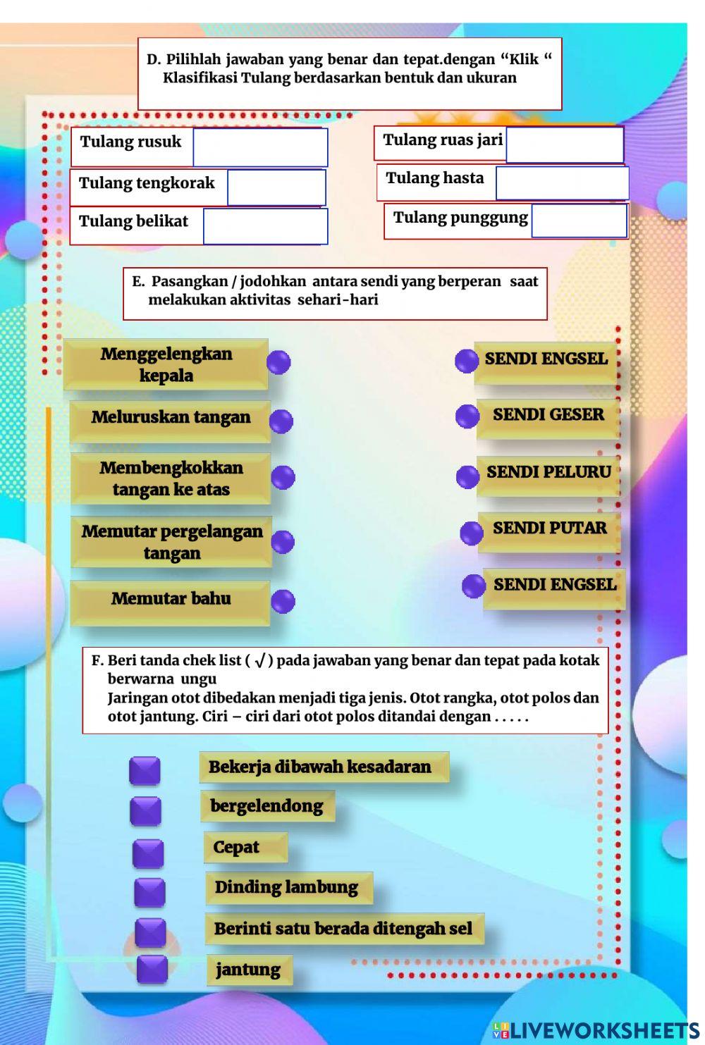 Sistem Gerak Manusia