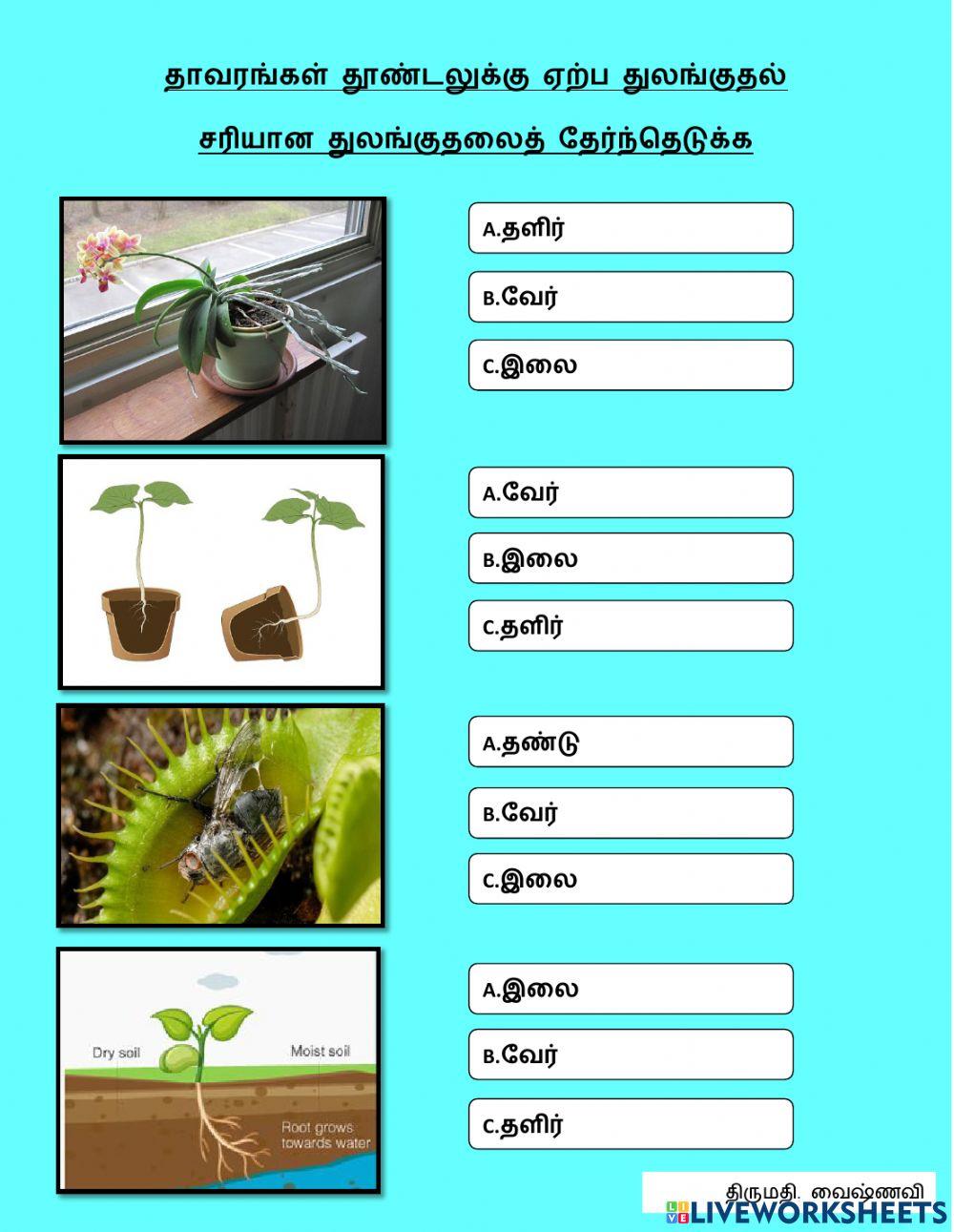 தாவரங்கள் தூண்டலுக்கு ஏற்ப துலங்குதல்