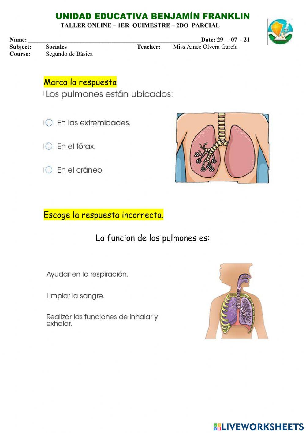Taller los pulmones