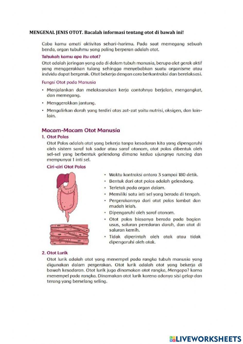 Jenis tulang, sendi dan otot