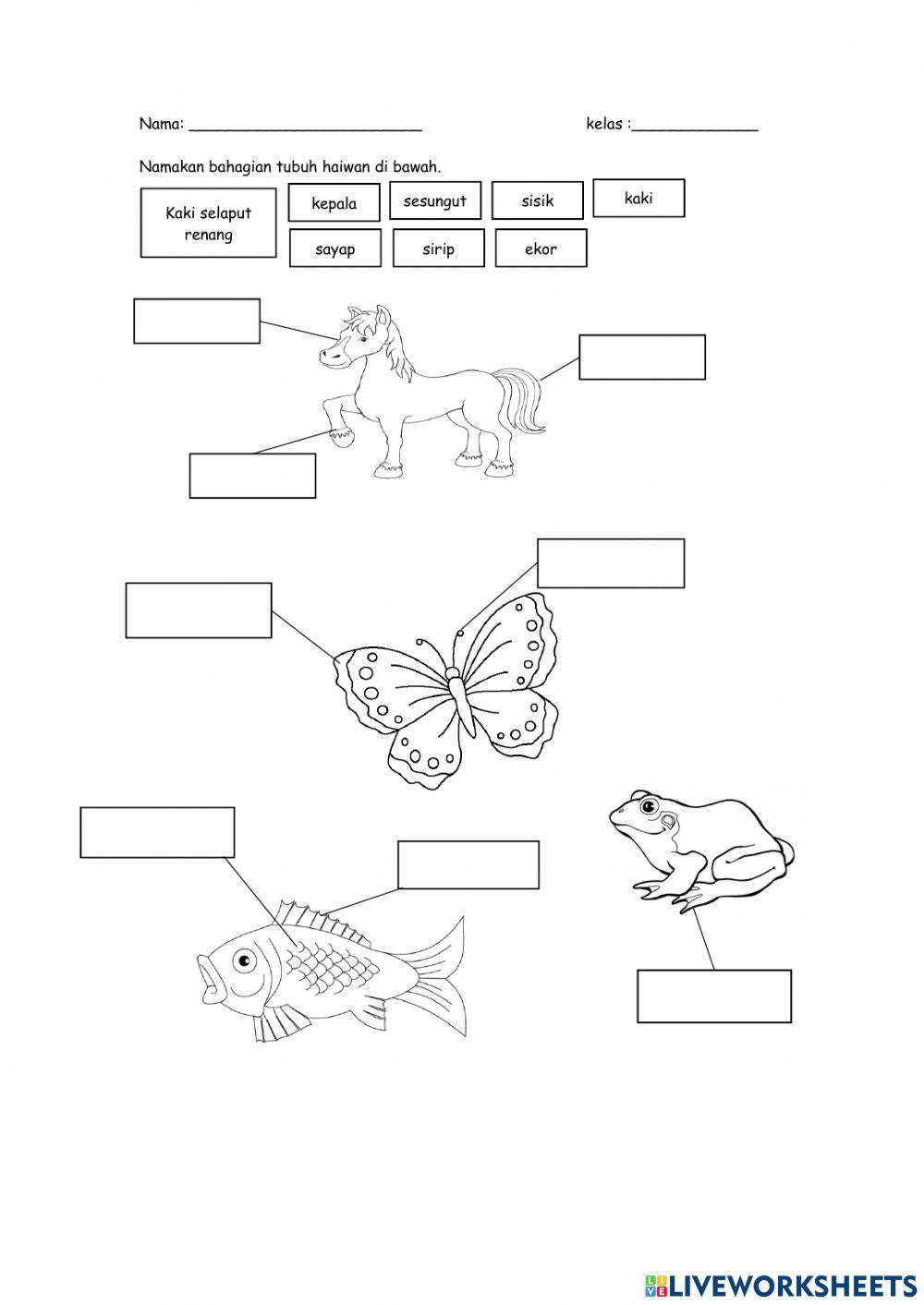 Bahagian tubuh haiwan