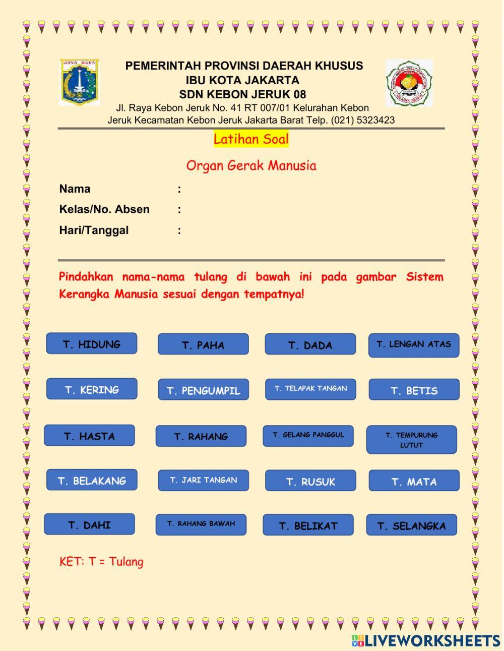 Latihan Soal Organ Gerak Manusia