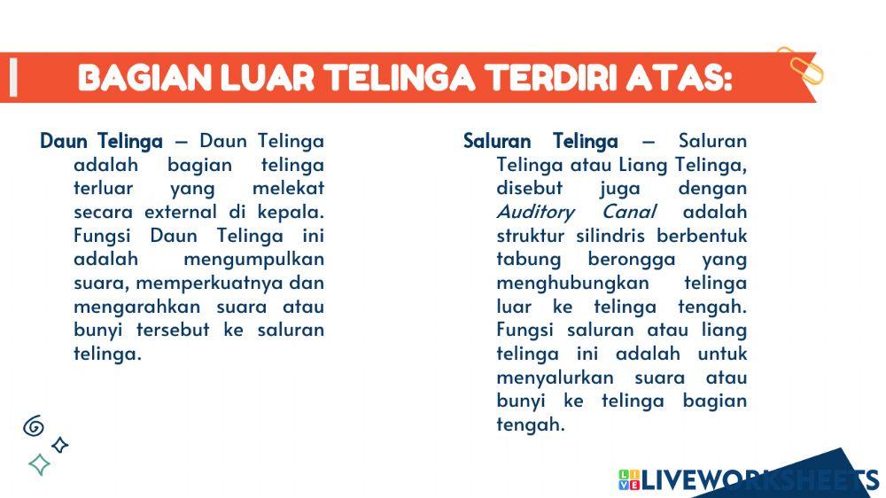 Materi Tema 4 Subtema 2