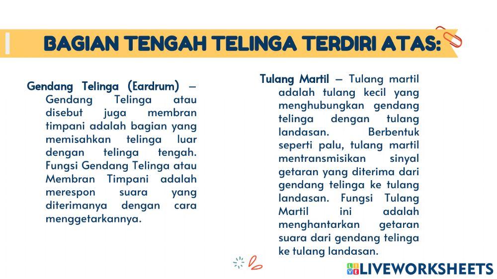 Materi Tema 4 Subtema 2