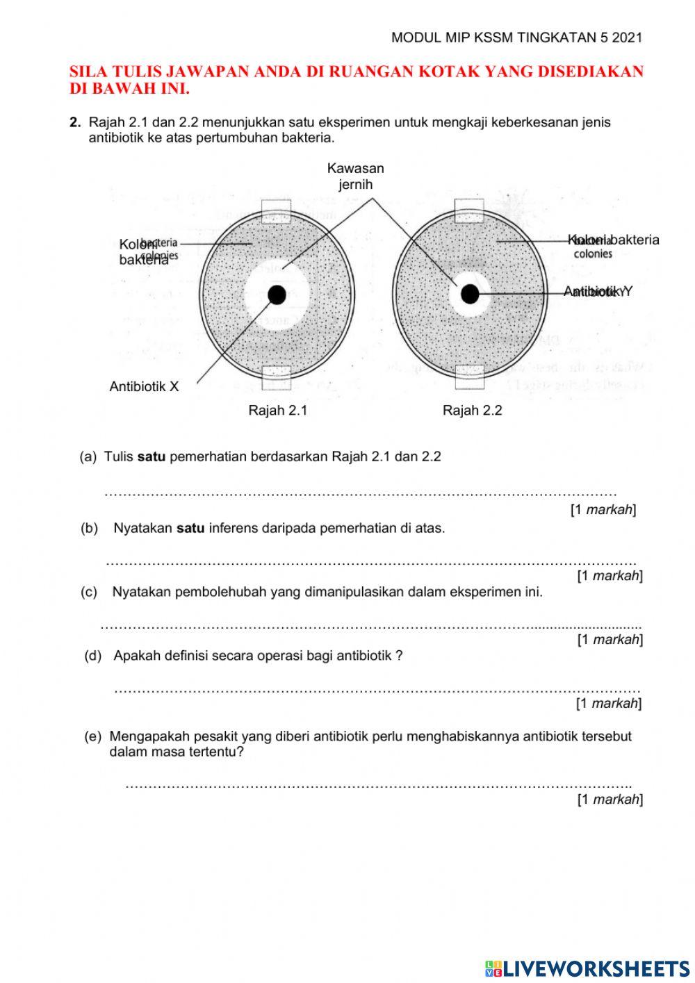 Bhg a - mikroorganisma