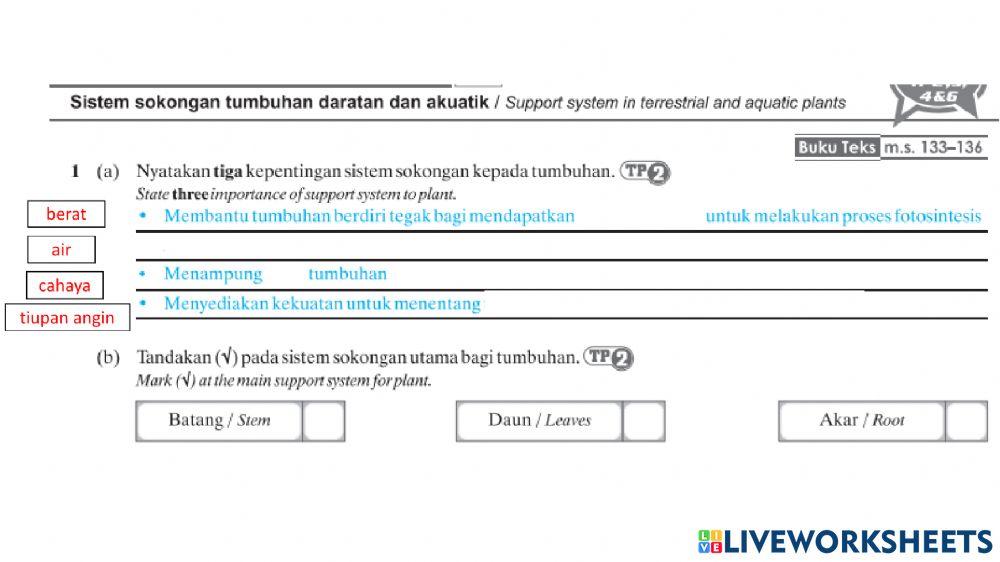 Bab 6 sokongan pertumbuhan
